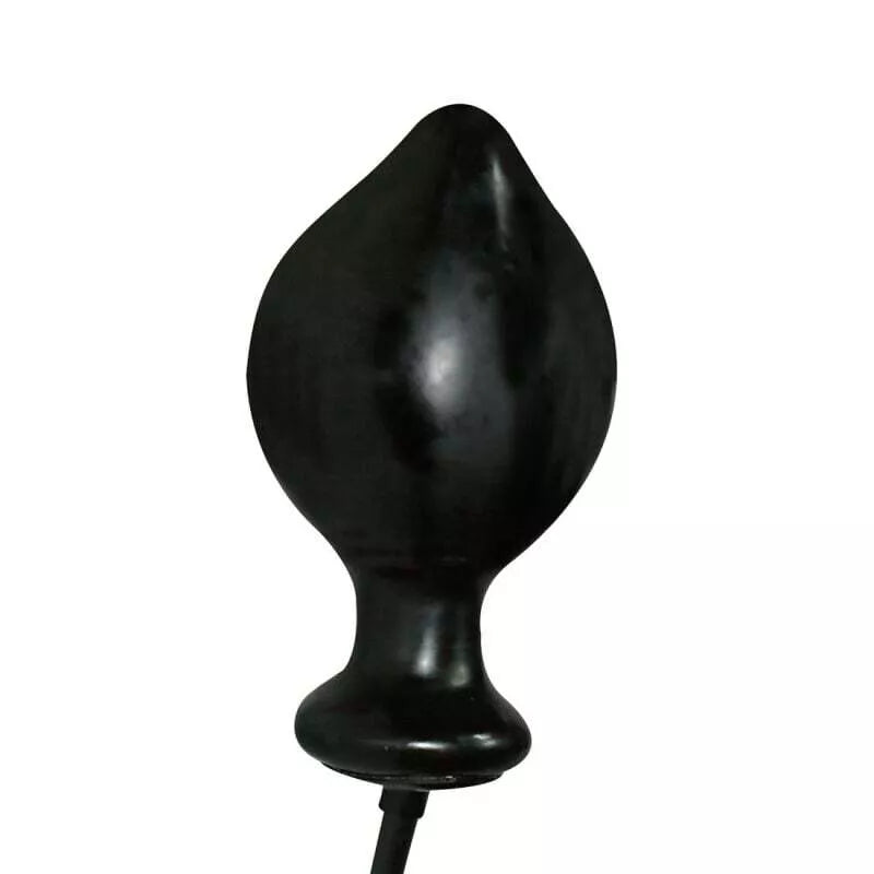 Pripučiamas analinis kaištis ekspertas